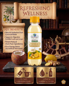 Natural Lemonade Syrup Pack of 4 SPAAG's Fresh Natural Lemonade with Coconut Water and Ginger 250 ml bottle